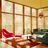 Silhouette Window Shadings